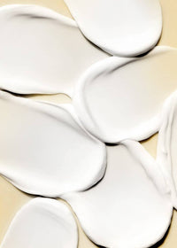 Shea Butter Lotion -  Champagne Hour 1.5 oz.