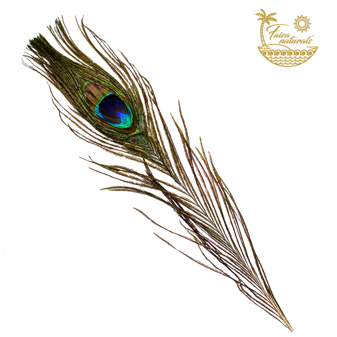 Small Peacock Feathers for Smudging