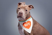 BFF Dog Bandana