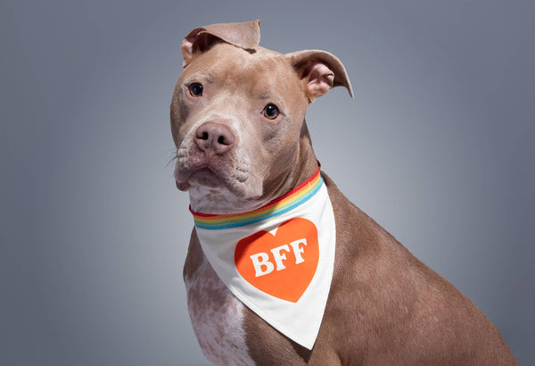 BFF Dog Bandana