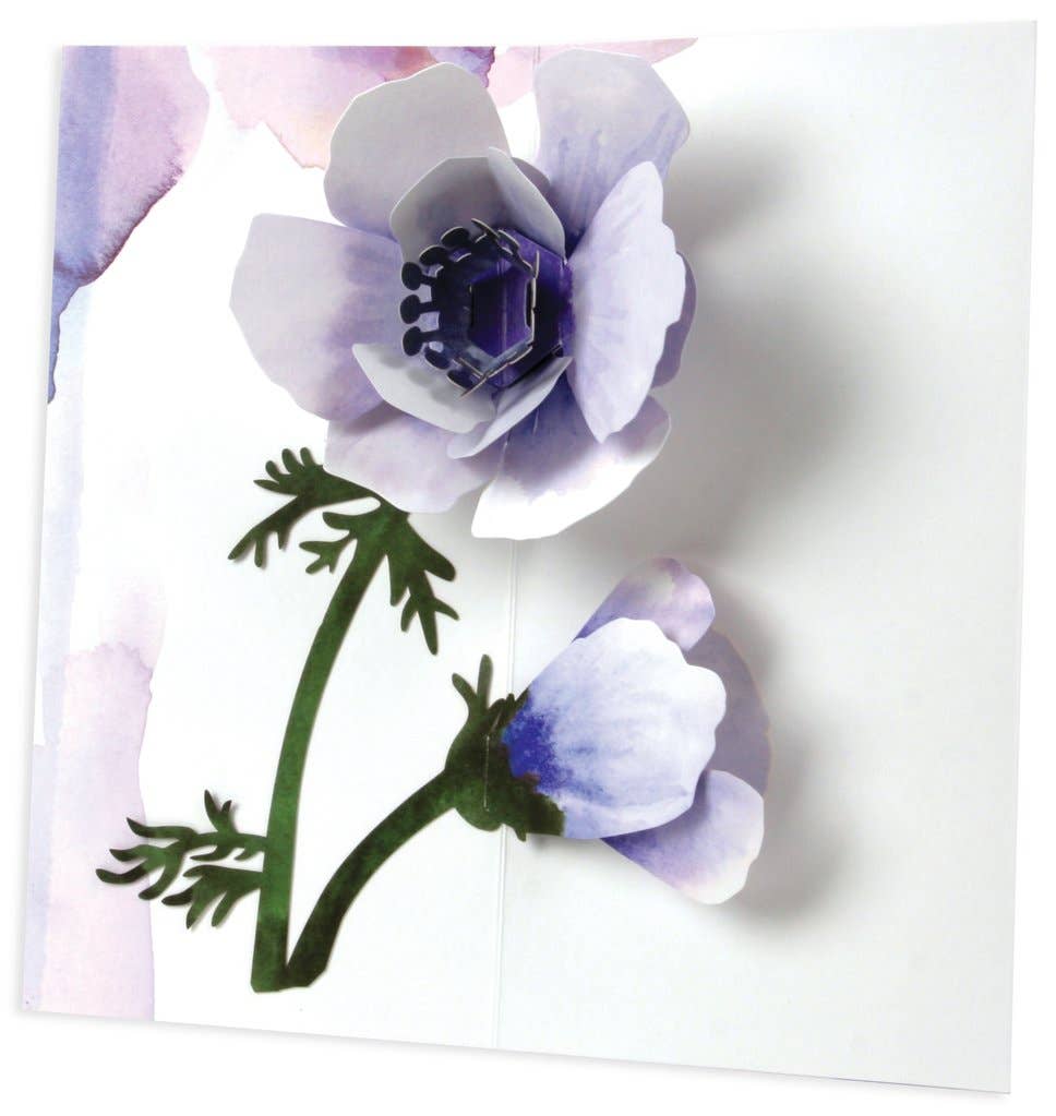 Anemone Flower Card