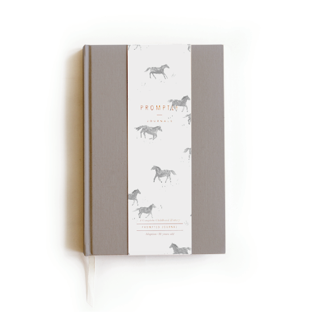 Adoption History - Grey