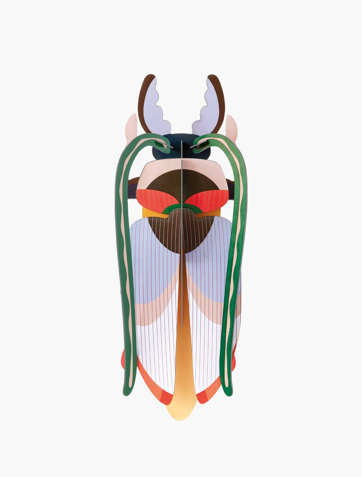Cosmos Beetle