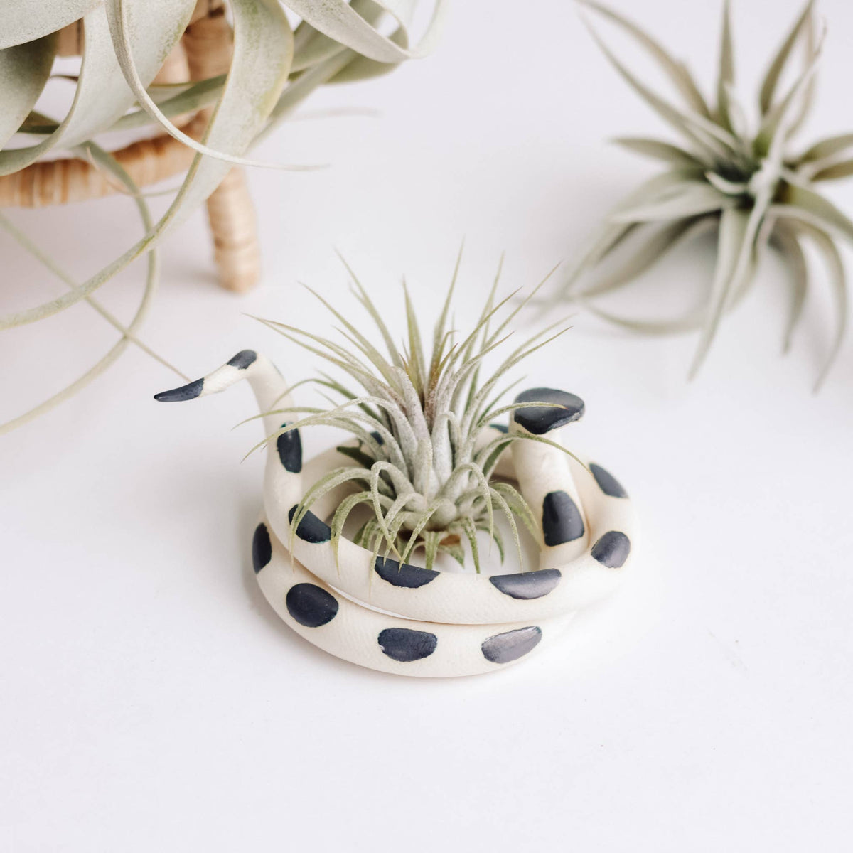 Carter & Rose Medium Ceramic Snake Simon