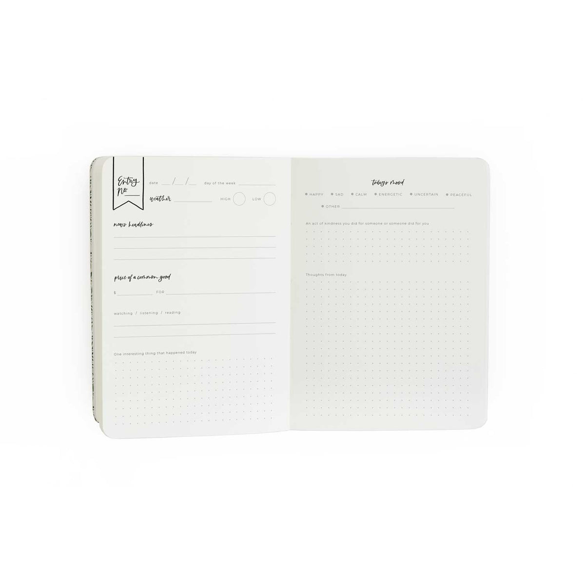 Daily Log Guided Journal