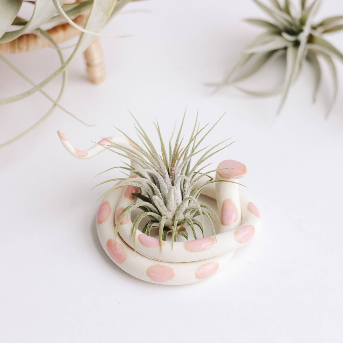 Carter & Rose Medium Ceramic Snake Sophie